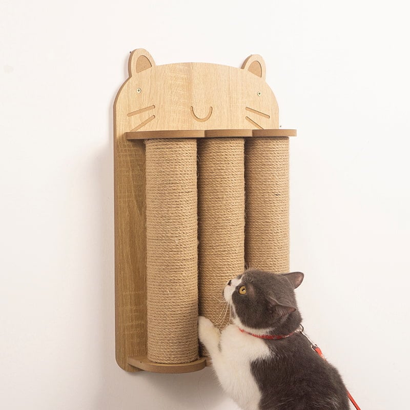 10 Đồ chơi tốt nhất cho mèo Anh lông ngắn nên mua 8 Trụ Cào Móng Treo Tường Cho Mèo IGA Tiện Lợi, Thẩm Mỹ - GU1