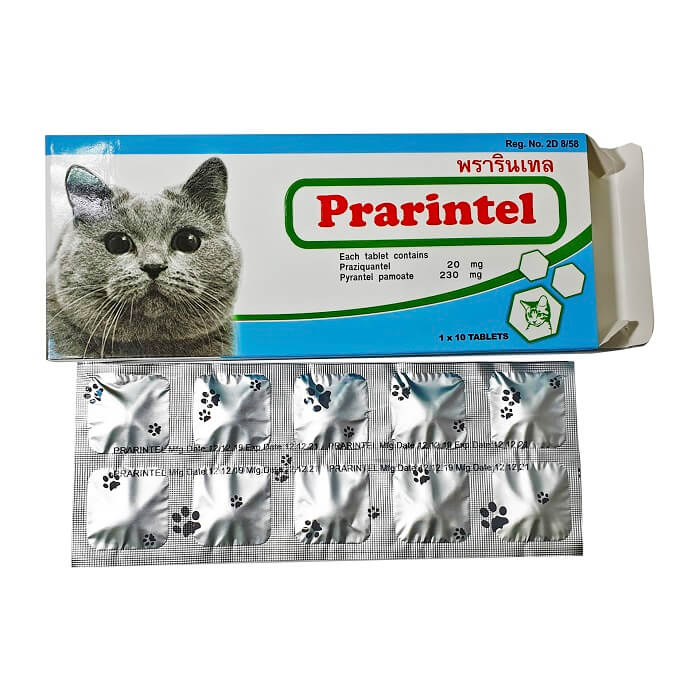 Lịch tẩy giun cho mèo Anh chi tiết và hướng dẫn 9 Viên xổ giun cho mèo Prarintel - Tiến Thắng Vet