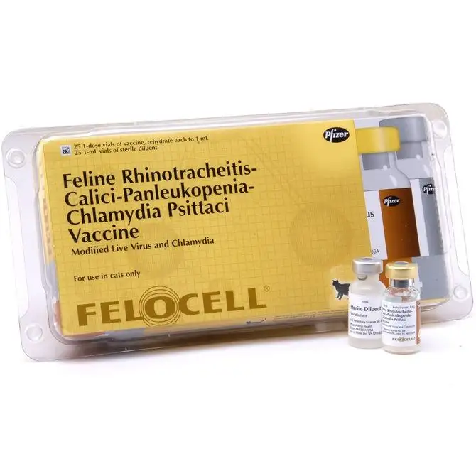 Lịch tiêm phòng cho mèo Anh chi tiết và đầy đủ 8 Vaccine Zoetis 4 bệnh cho mèo | CunStores Pet Shop